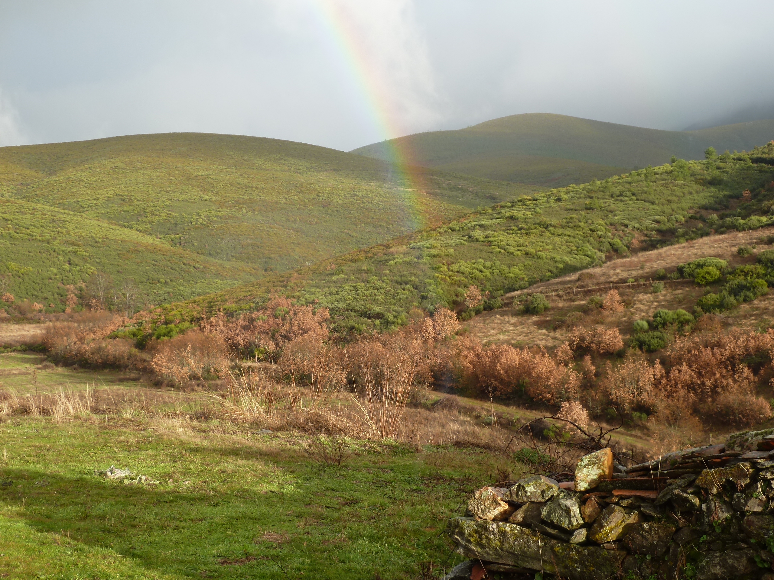 Paisaje de Agallas