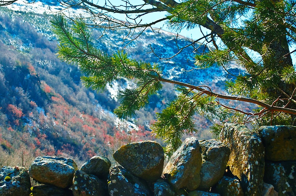 Paisaje de Barjacoba