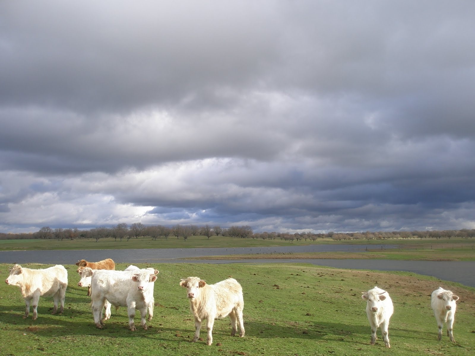 Paisaje en La Laguna de la Zarza