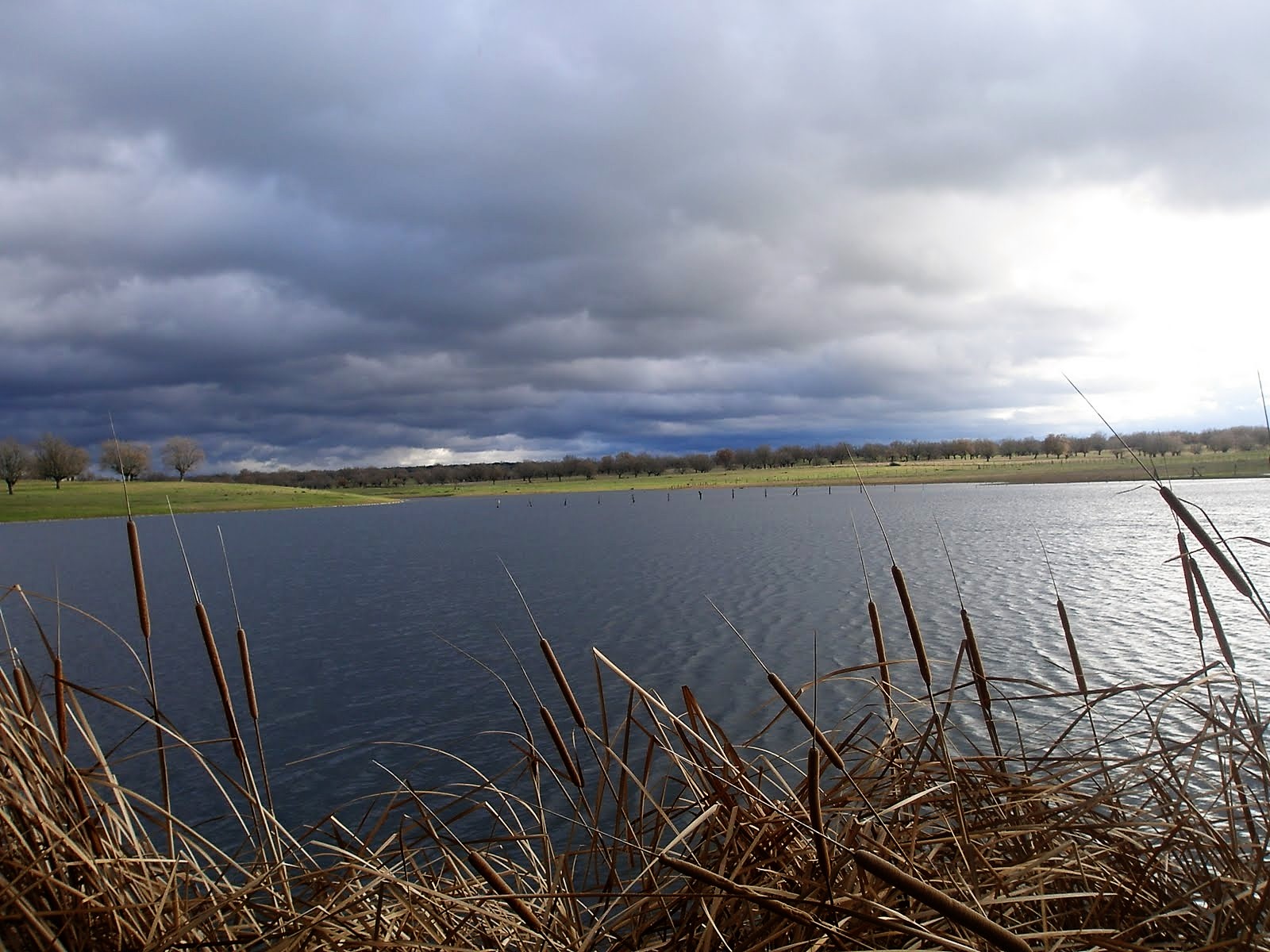 Laguna de La Zarza