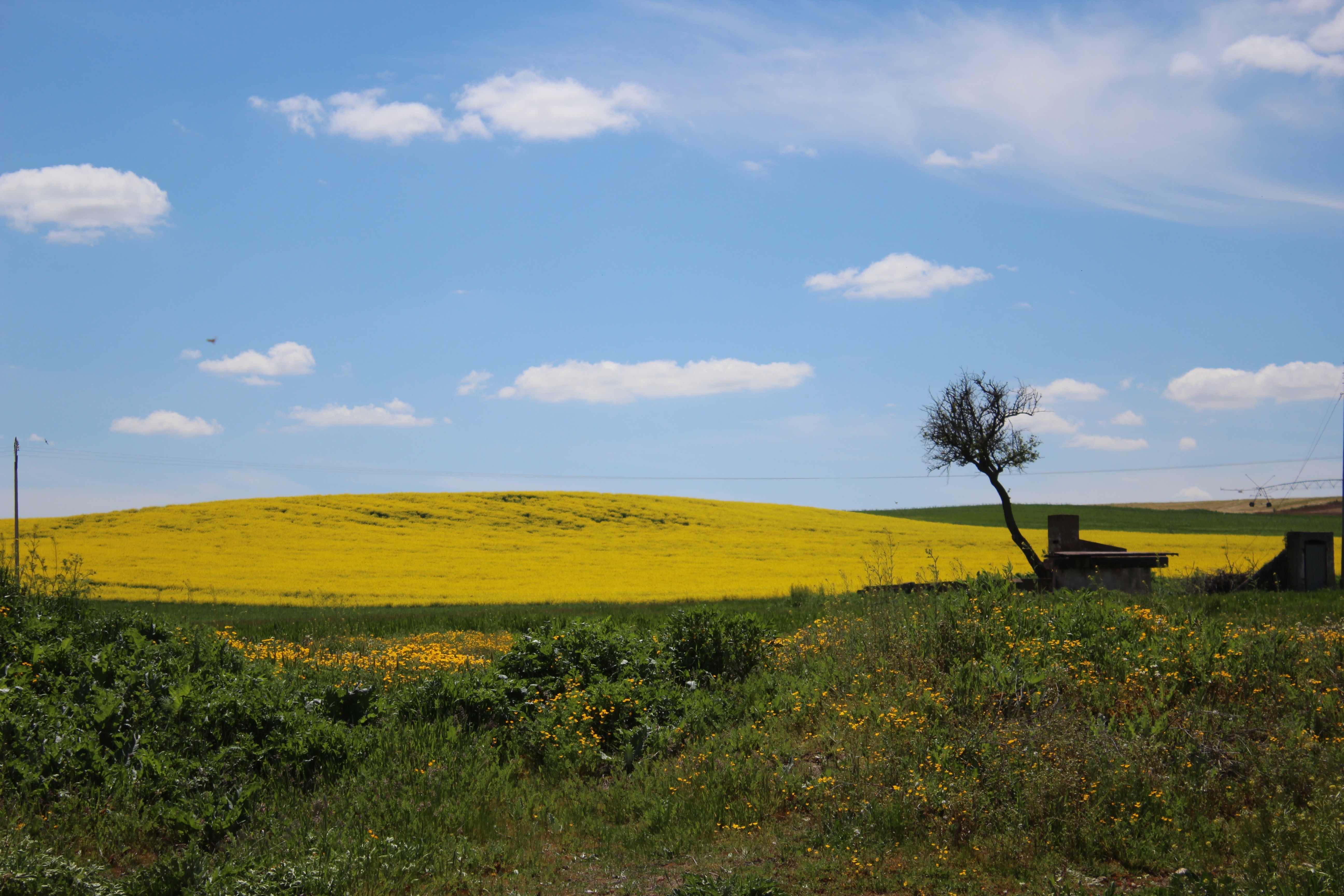 Paisaje de Castrillo de La Guareña