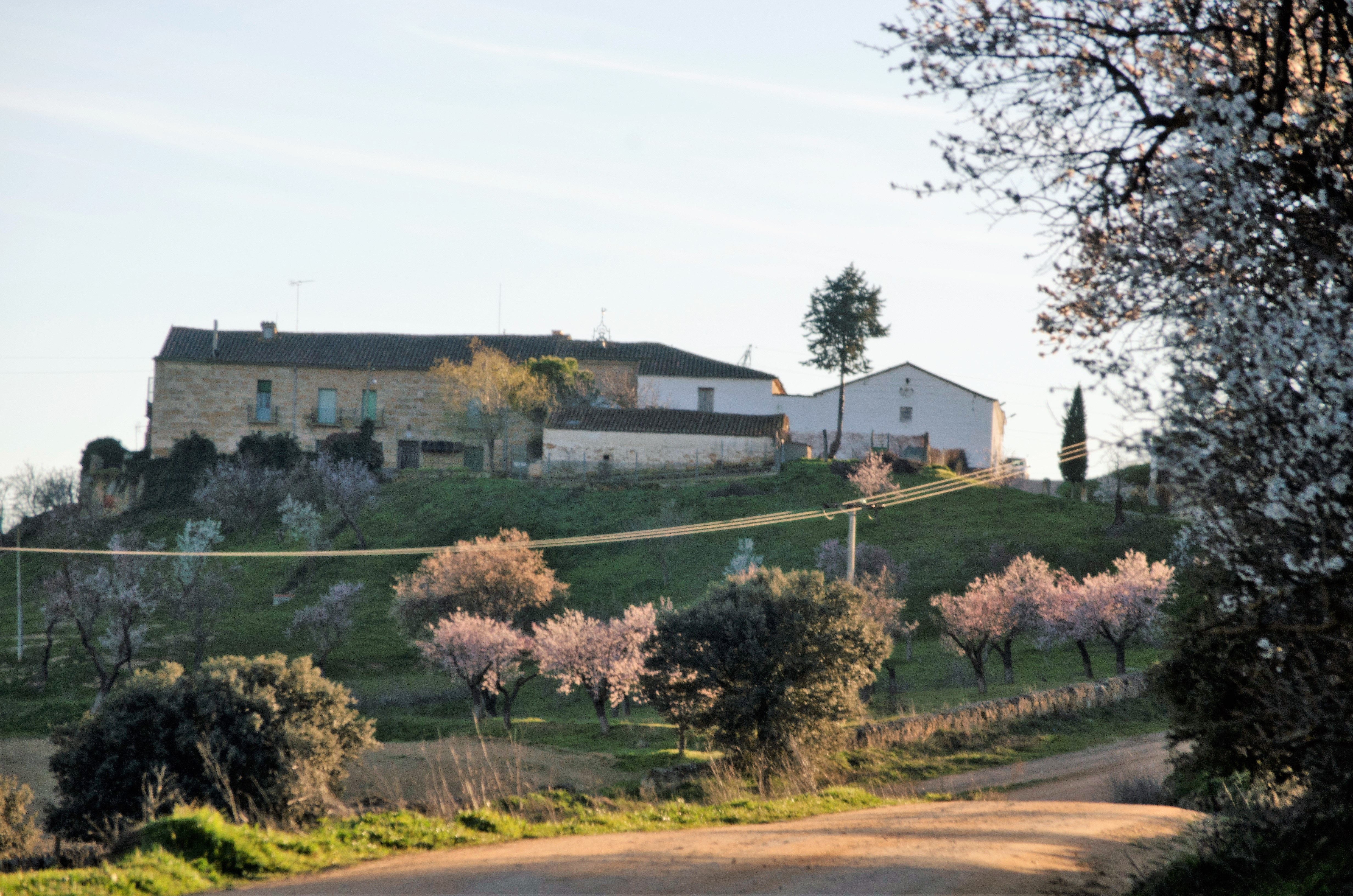 Vista de la  Dehesa de Valdemimbre