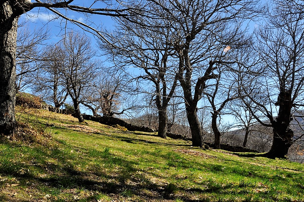 Paisaje de Lubian