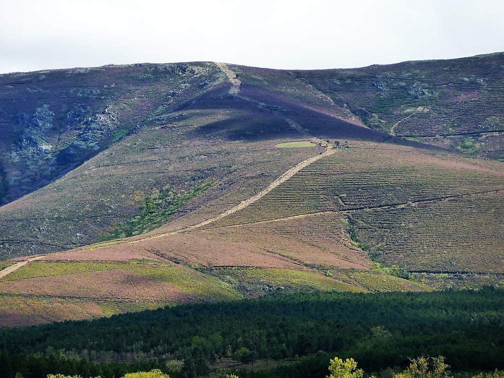 Sendero en Agallas