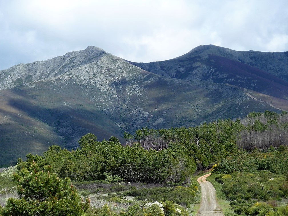 Sendero en Agallas