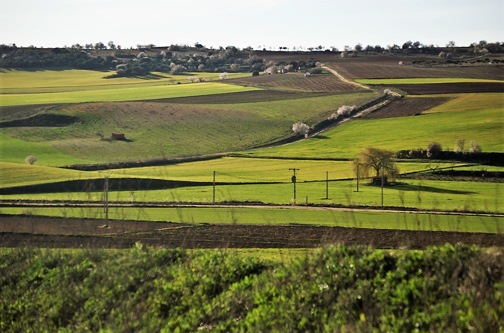 Paisaje de la Dehesa de Valdemimbre