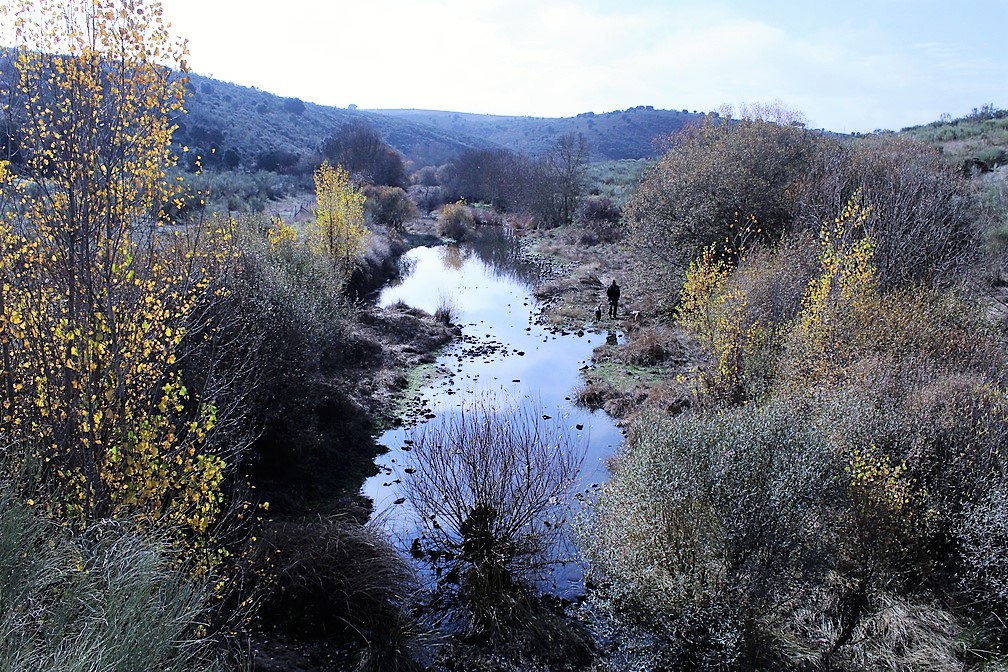 Rio Gallegos de Argañán