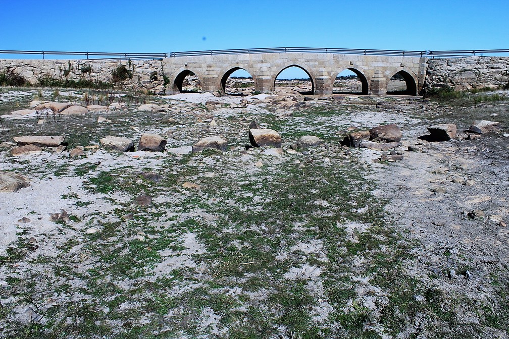 Puente de salce