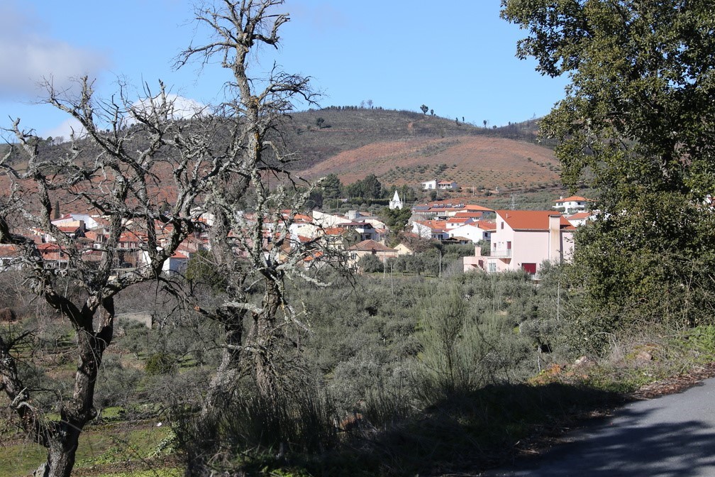 Rota dos Cirieiros