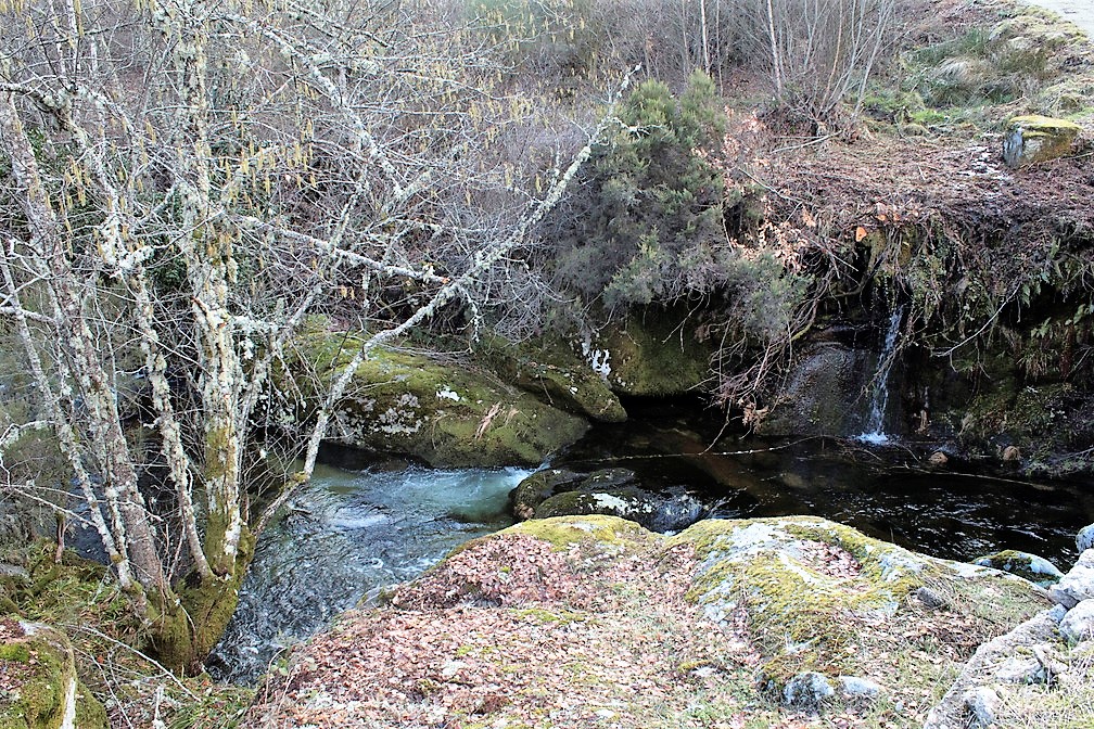 Ruta del Río Gamoneda