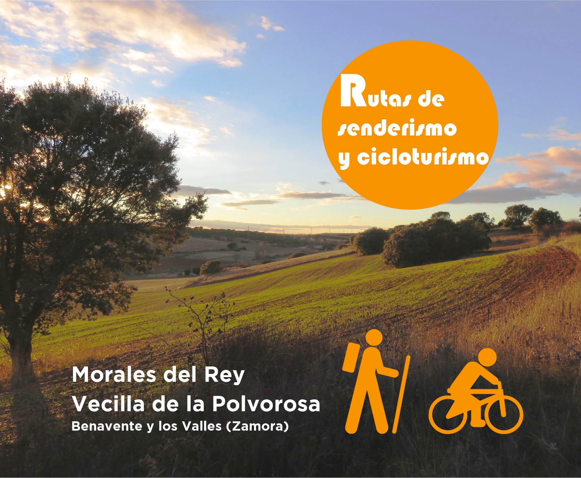 Cartel Rutas Morales del Rey