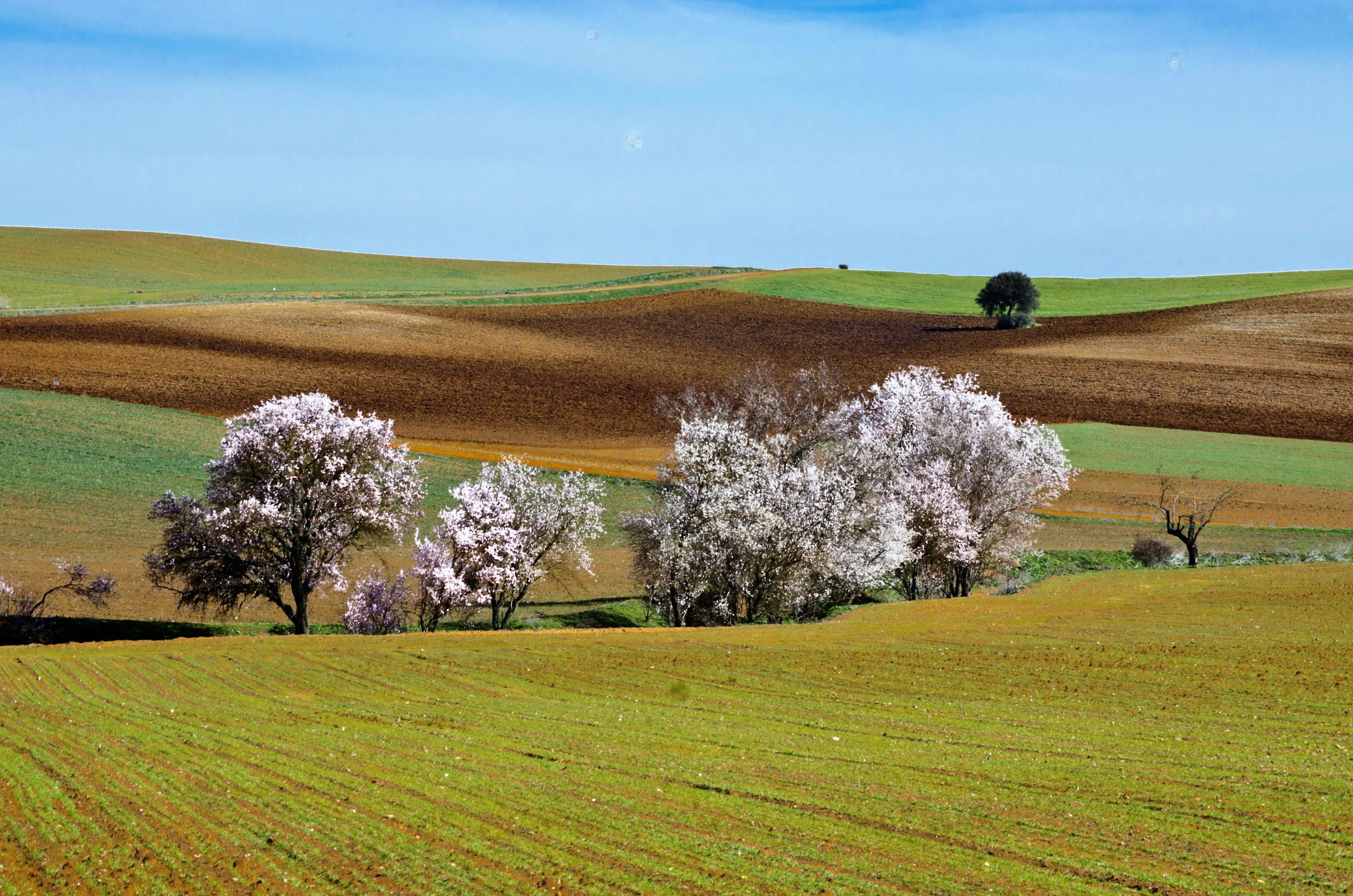 Paisaje de Sanzoles