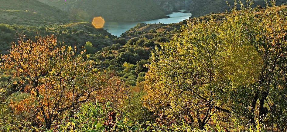 Sierra de La Culebra