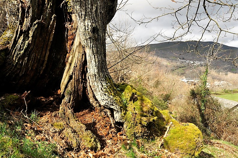 Vista de Hermisende