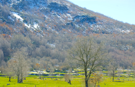 Paisaje de Barjacoba