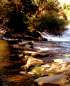 Almaraz de Duero