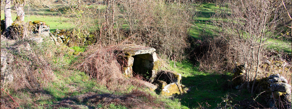 Castro de Alcañices