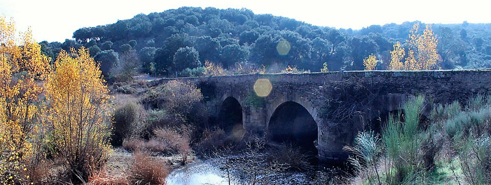 Gallegos de Argañan