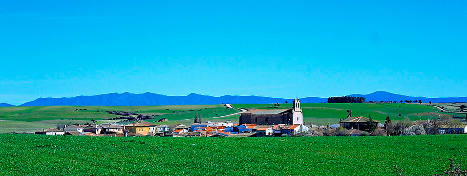 Gallegos de Argañan