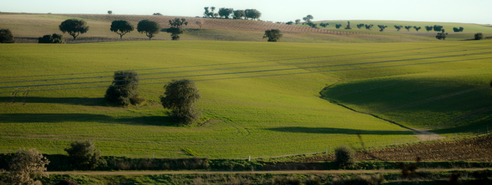 Dehesa de Valdemimbre