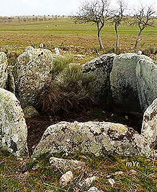 Villaseco de los Gamitos